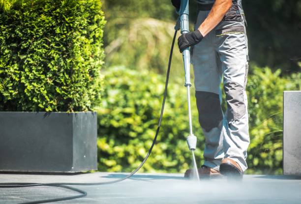 Best Building Exterior Pressure Washing in Bridgeport, AL